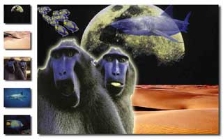 image manipulation