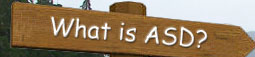 What is ASD