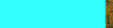 What is Asd