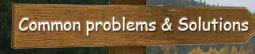 vommon problems